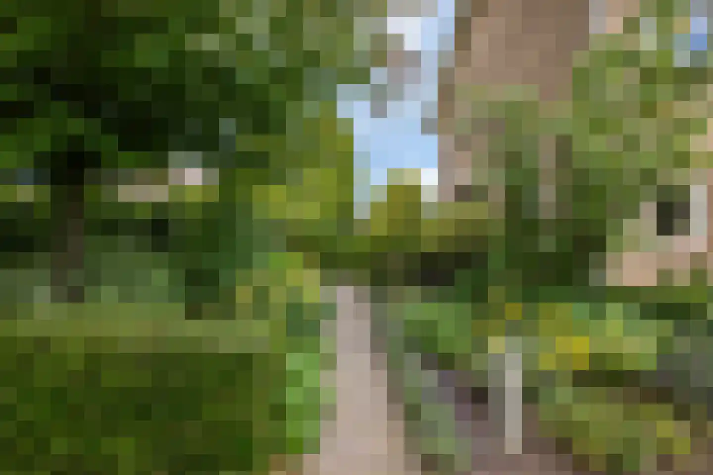 Berkenlaan 1 Kamerik thumbnail 34