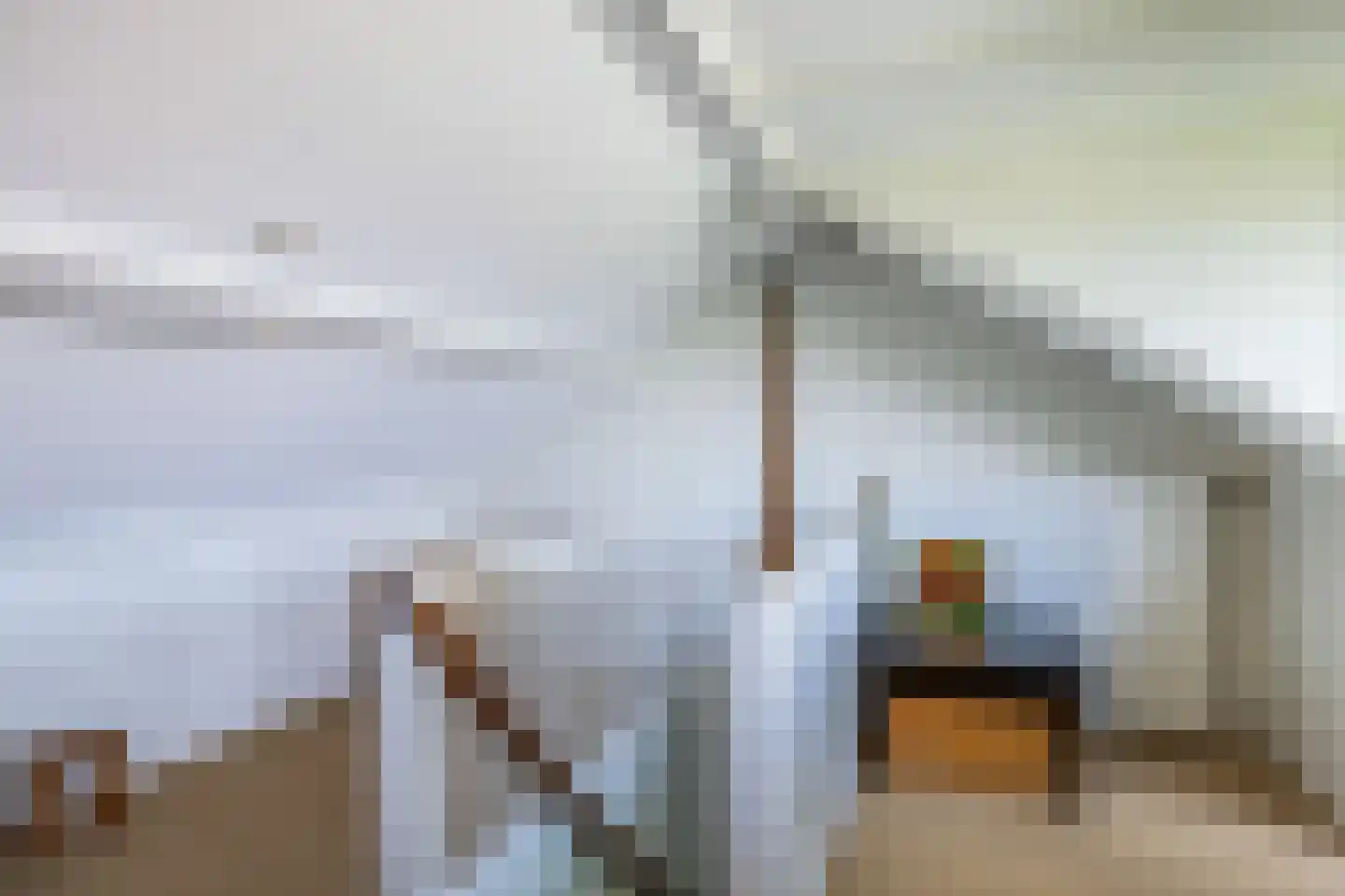 Berkenlaan 1 Kamerik thumbnail 48