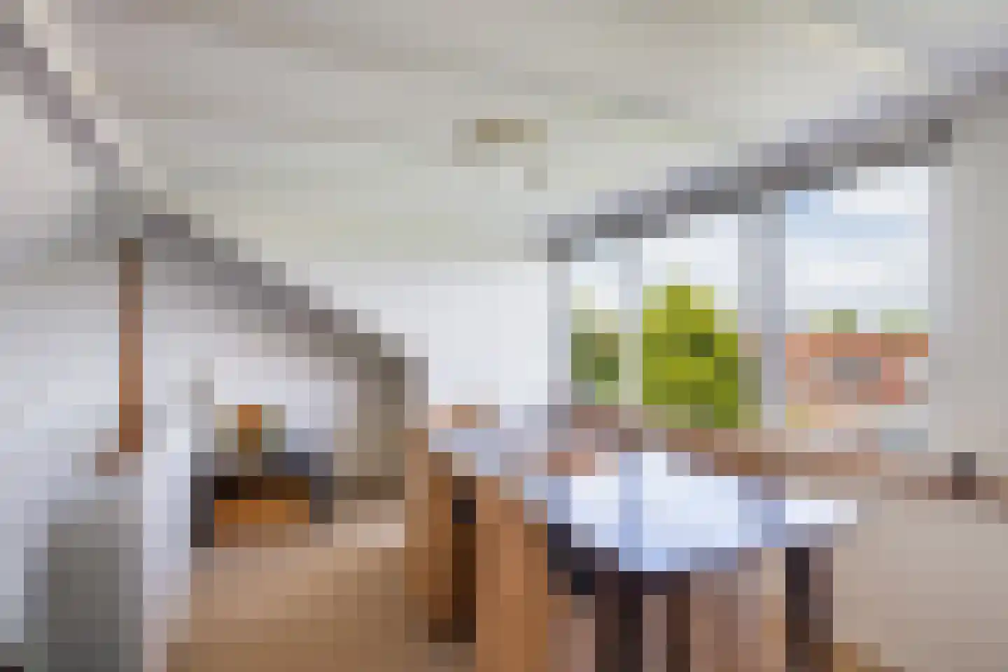 Berkenlaan 1 Kamerik thumbnail 49