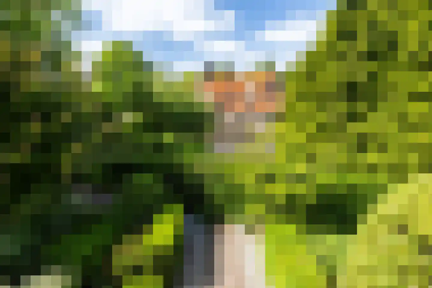 Berkenlaan 1 Kamerik thumbnail 53