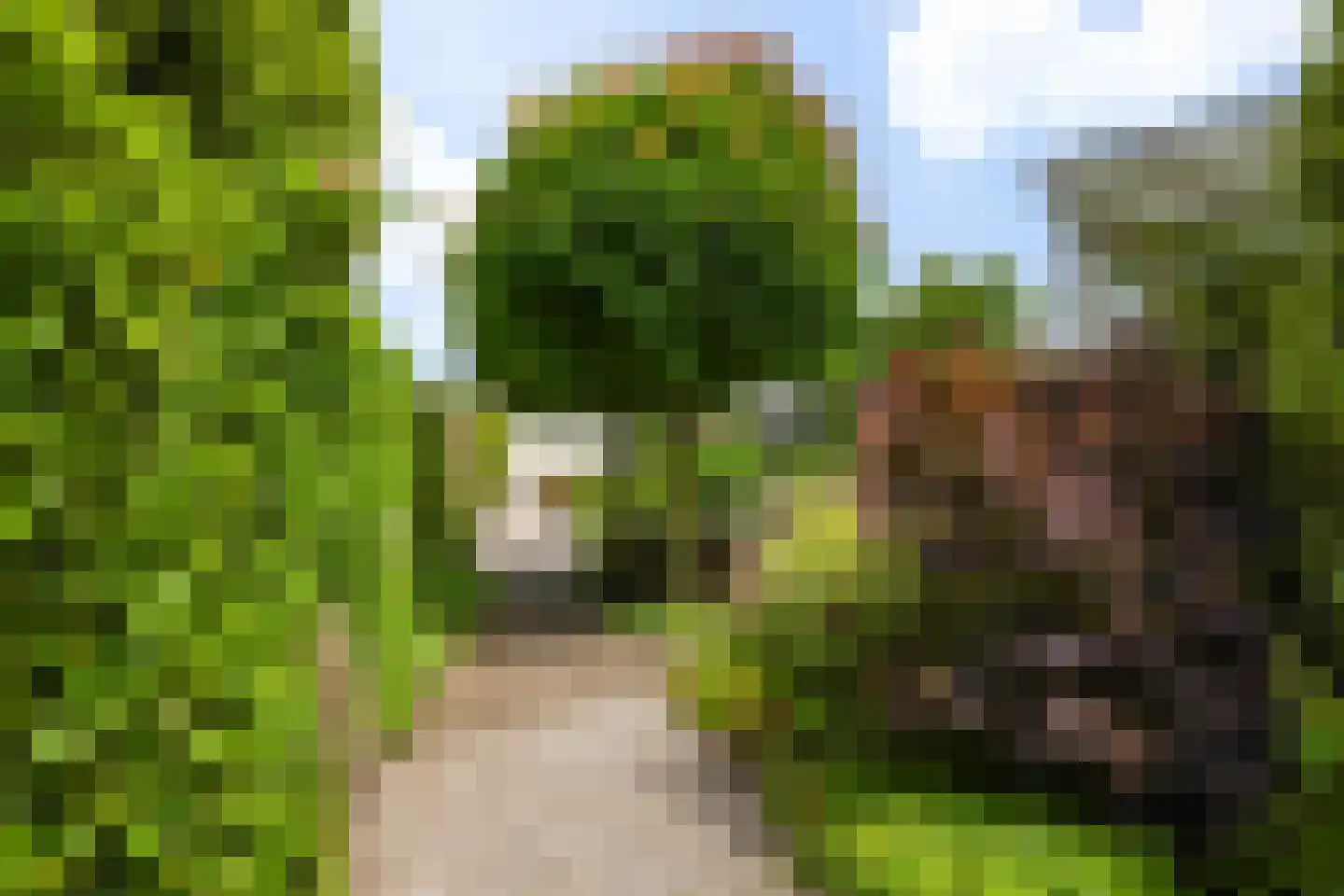 Berkenlaan 1 Kamerik thumbnail 54