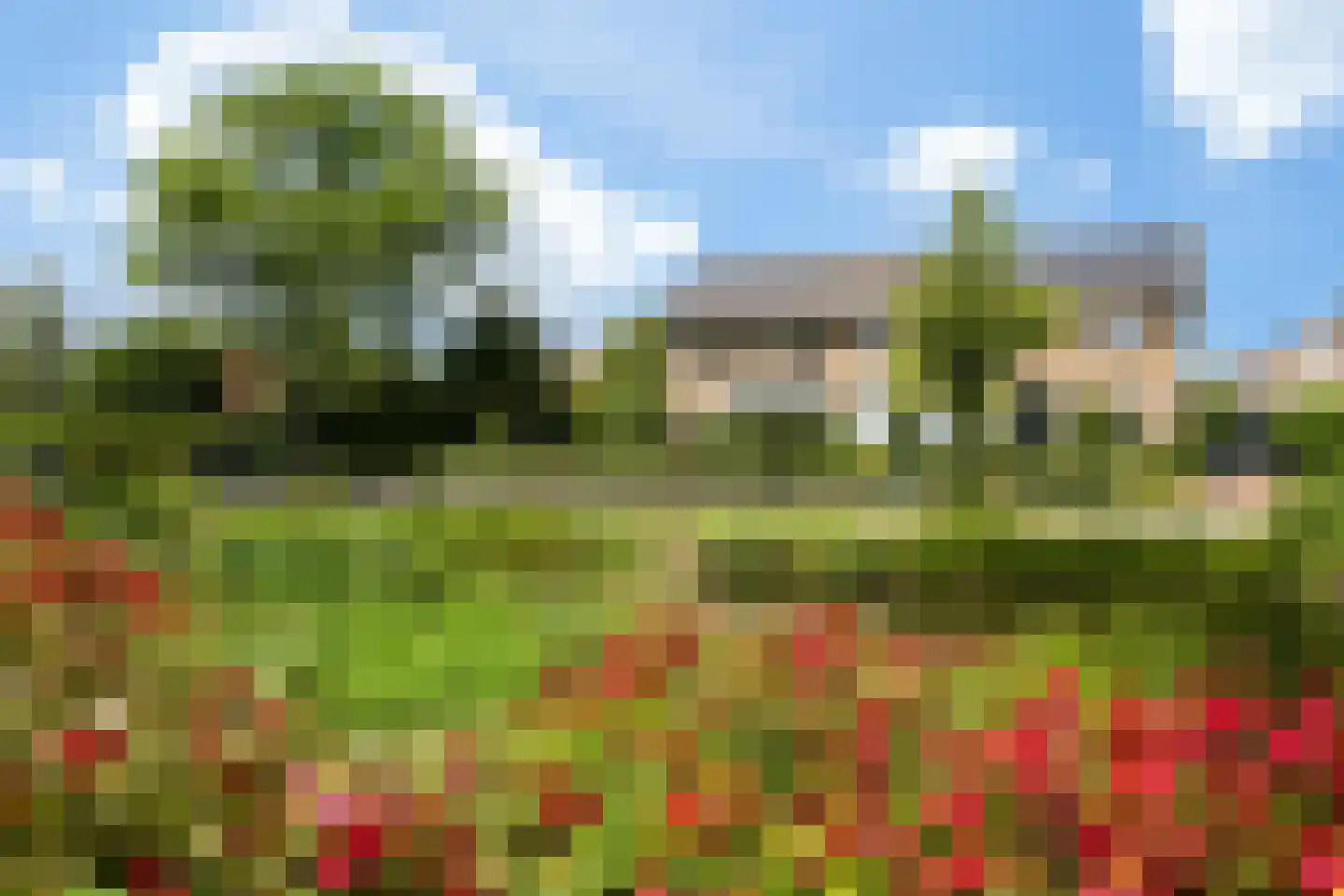 Berkenlaan 1 Kamerik thumbnail 55