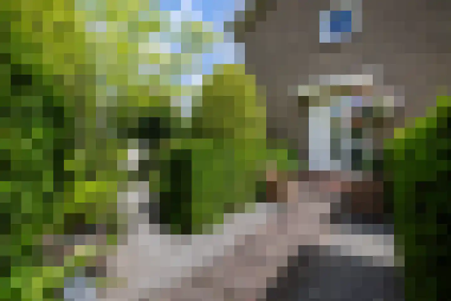 Berkenlaan 1 Kamerik thumbnail 6