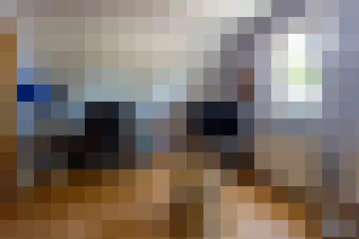 Berkenlaan 1 Nieuwe Pekela thumbnail 19