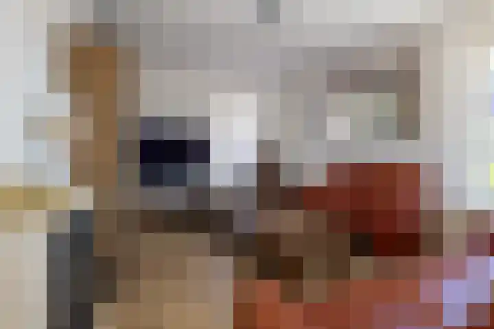 Berkenlaan 1 Nieuwe Pekela foto 2
