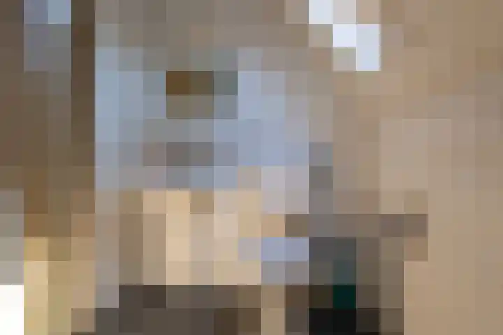 Berkenlaan 1 Nieuwe Pekela thumbnail 20