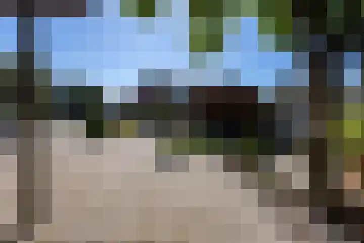 Berkenlaan 1 Nieuwe Pekela thumbnail 26