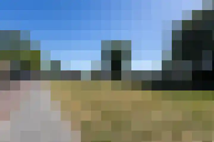 Berkenlaan 1 Nieuwe Pekela thumbnail 36