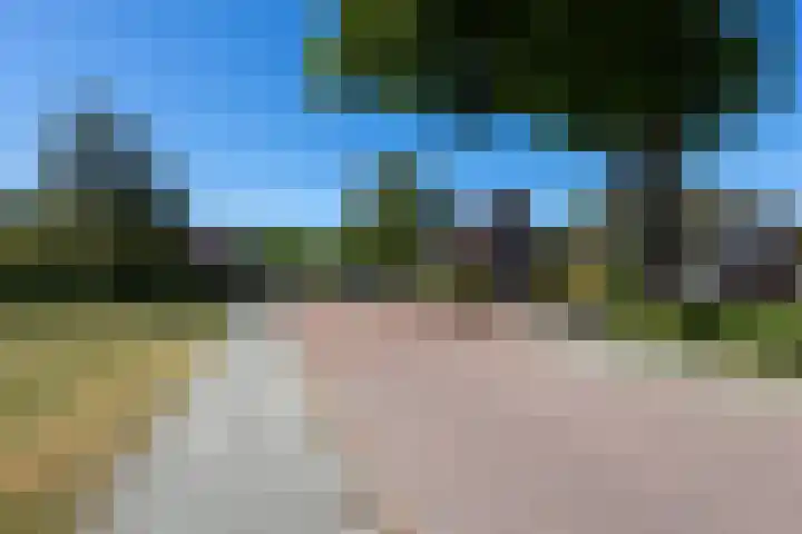 Berkenlaan 1 Nieuwe Pekela thumbnail 37