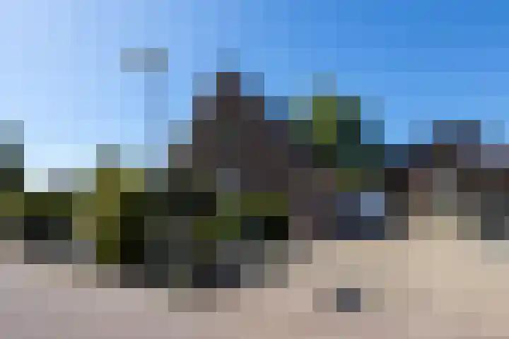 Berkenlaan 1 Nieuwe Pekela thumbnail 39