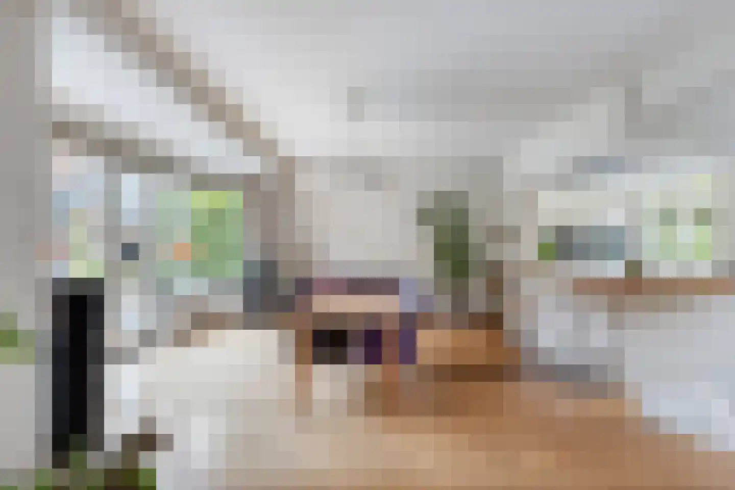 Berkenlaan 1 Wassenaar thumbnail 10