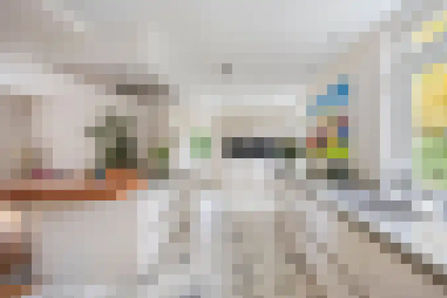 Berkenlaan 1 Wassenaar thumbnail 13