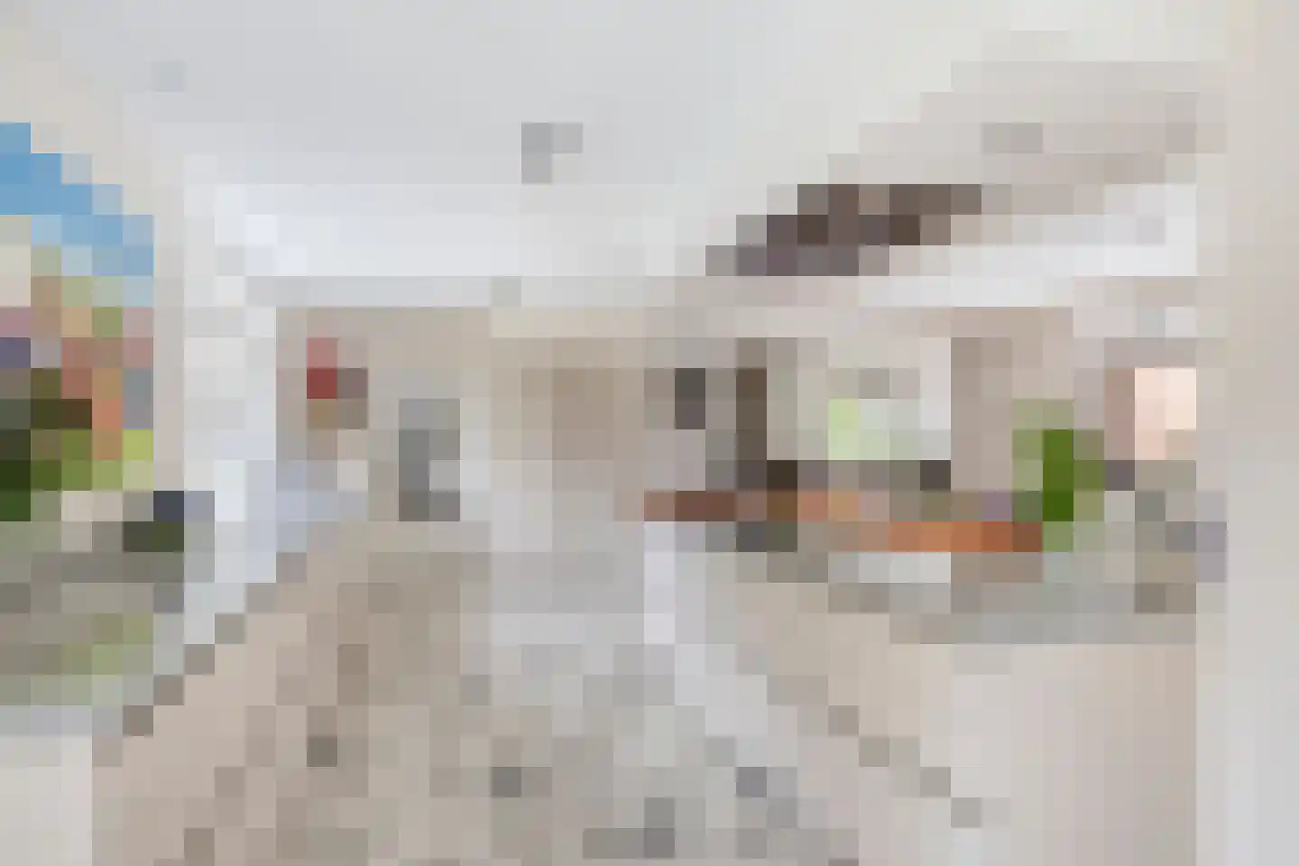 Berkenlaan 1 Wassenaar thumbnail 15