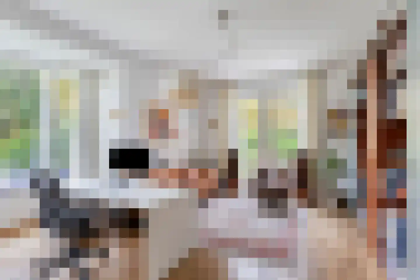 Berkenlaan 1 Wassenaar thumbnail 20