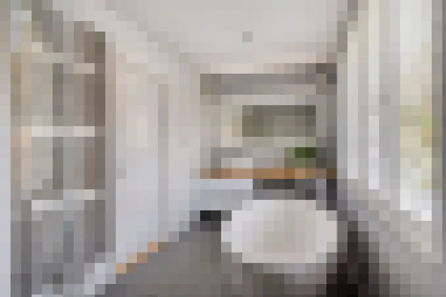 Berkenlaan 1 Wassenaar thumbnail 26