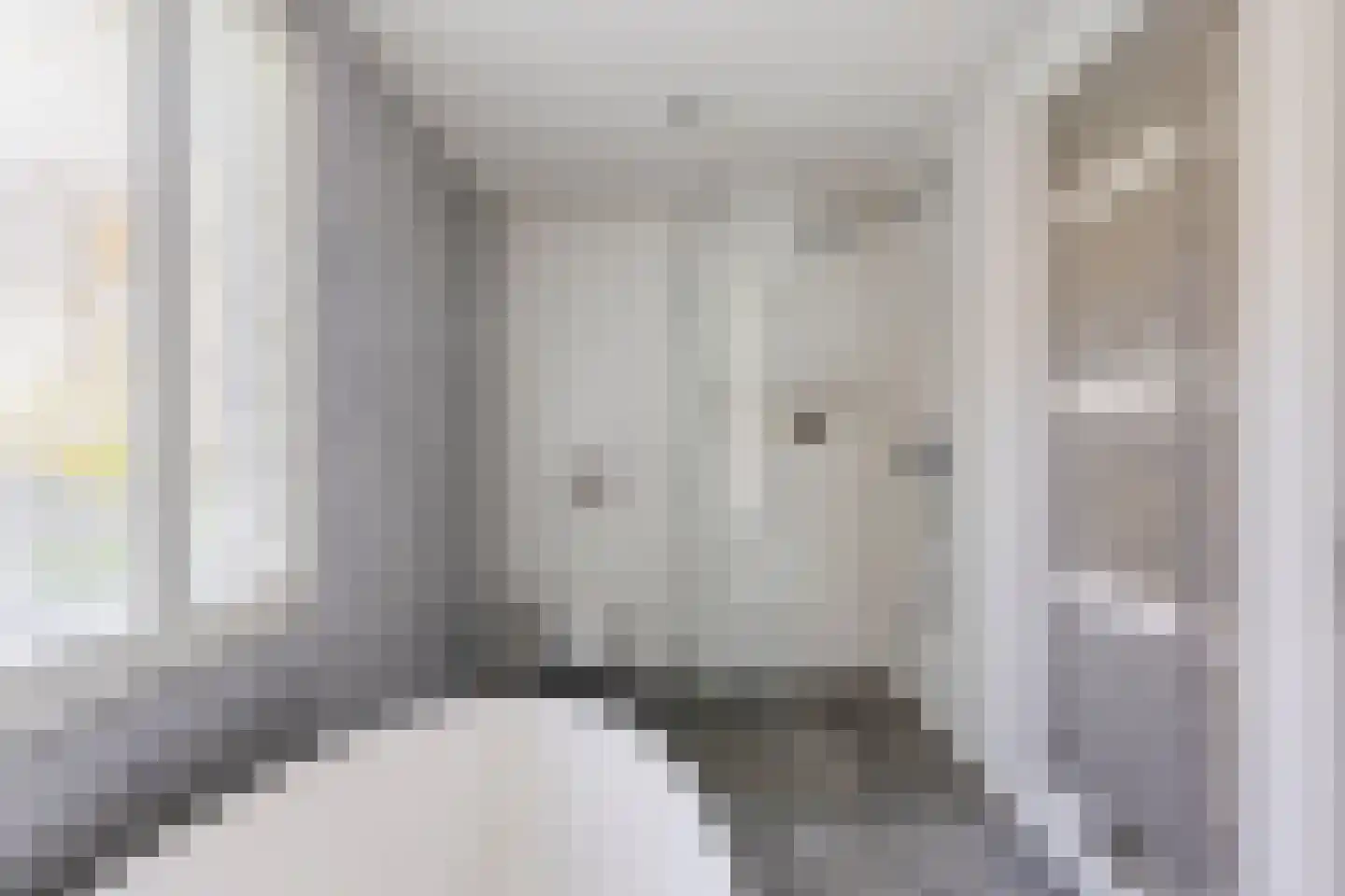 Berkenlaan 1 Wassenaar thumbnail 27
