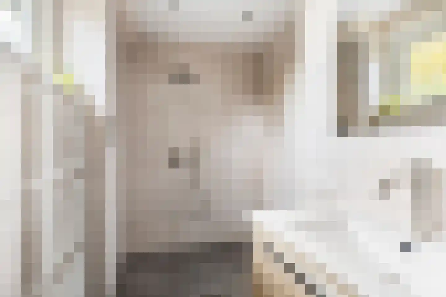 Berkenlaan 1 Wassenaar thumbnail 33