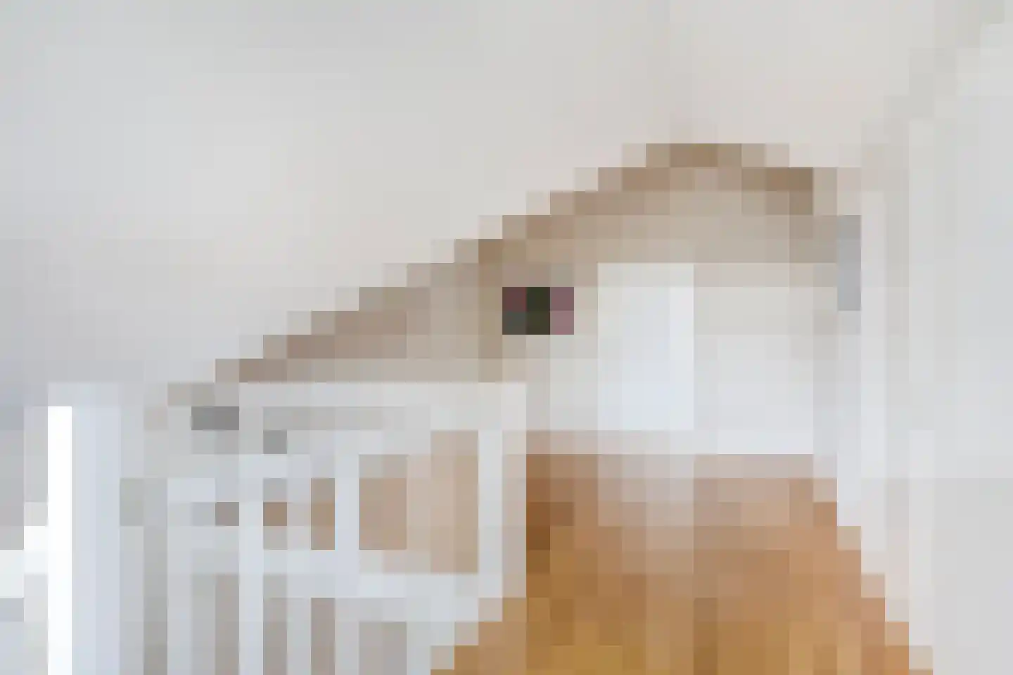 Berkenlaan 1 Wassenaar thumbnail 38