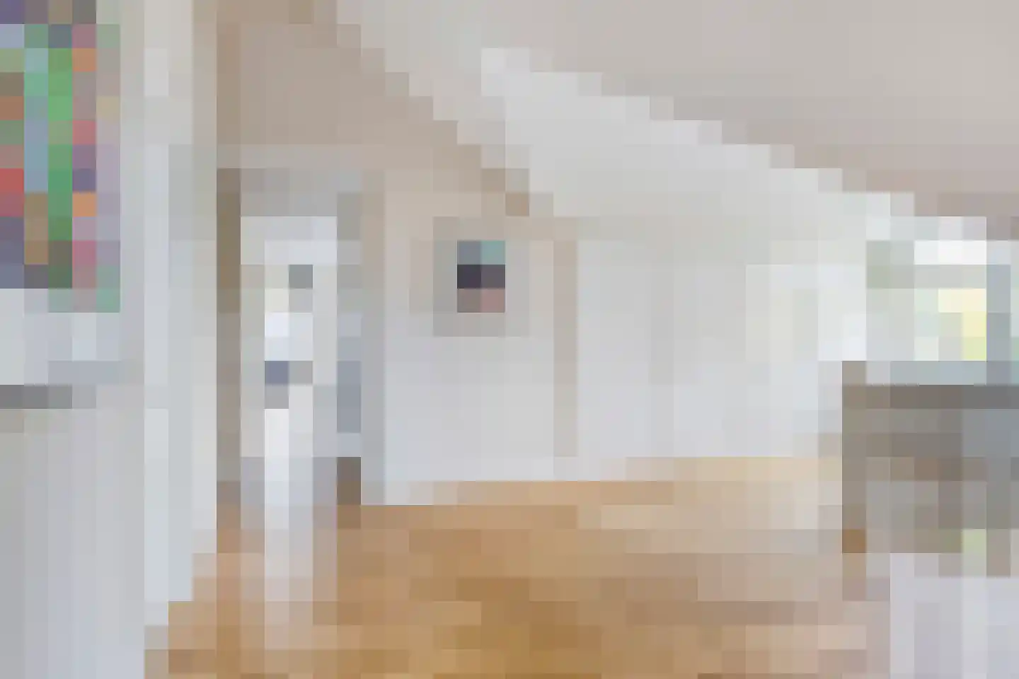 Berkenlaan 1 Wassenaar thumbnail 39