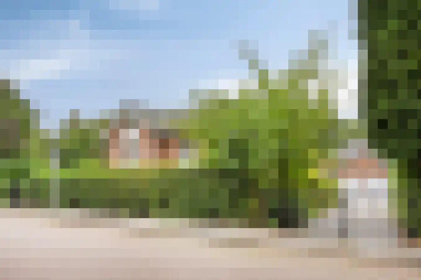 Berkenlaan 1 Wassenaar thumbnail 4