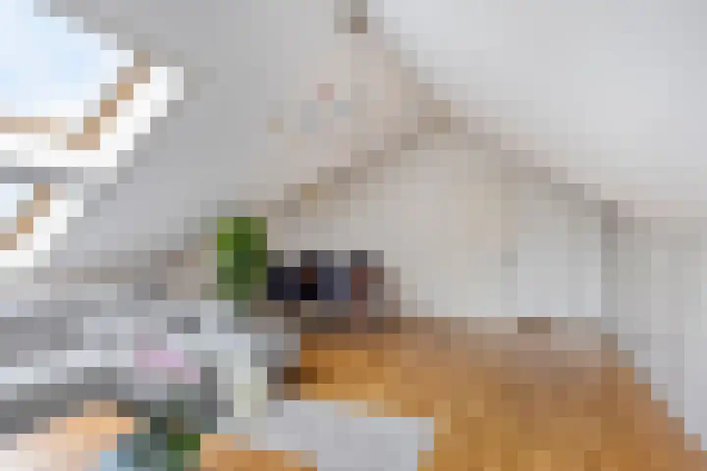 Berkenlaan 1 Wassenaar thumbnail 44