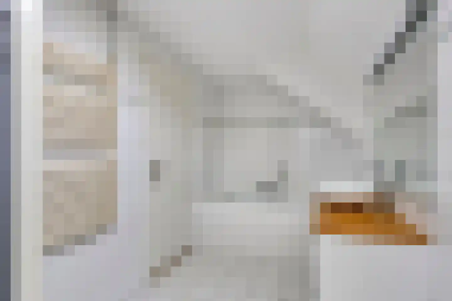 Berkenlaan 1 Wassenaar thumbnail 47