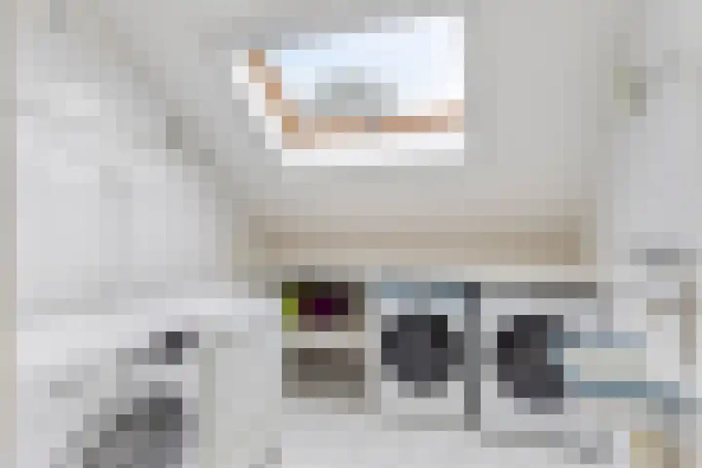 Berkenlaan 1 Wassenaar thumbnail 49