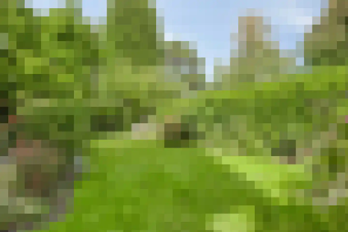 Berkenlaan 1 Wassenaar thumbnail 54