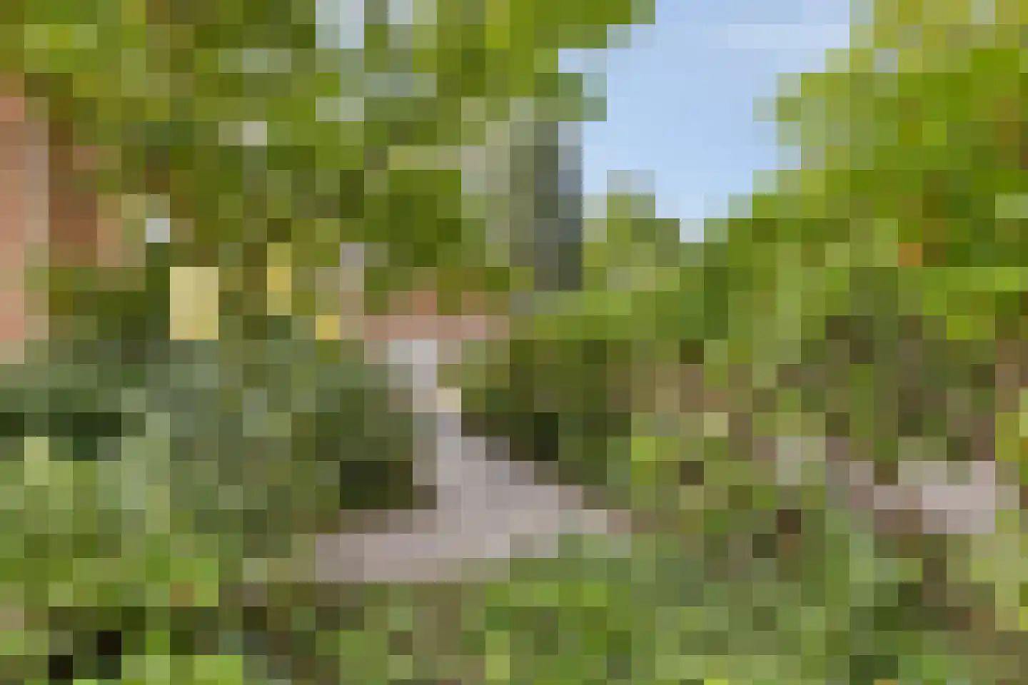 Berkenlaan 1 Wassenaar thumbnail 56