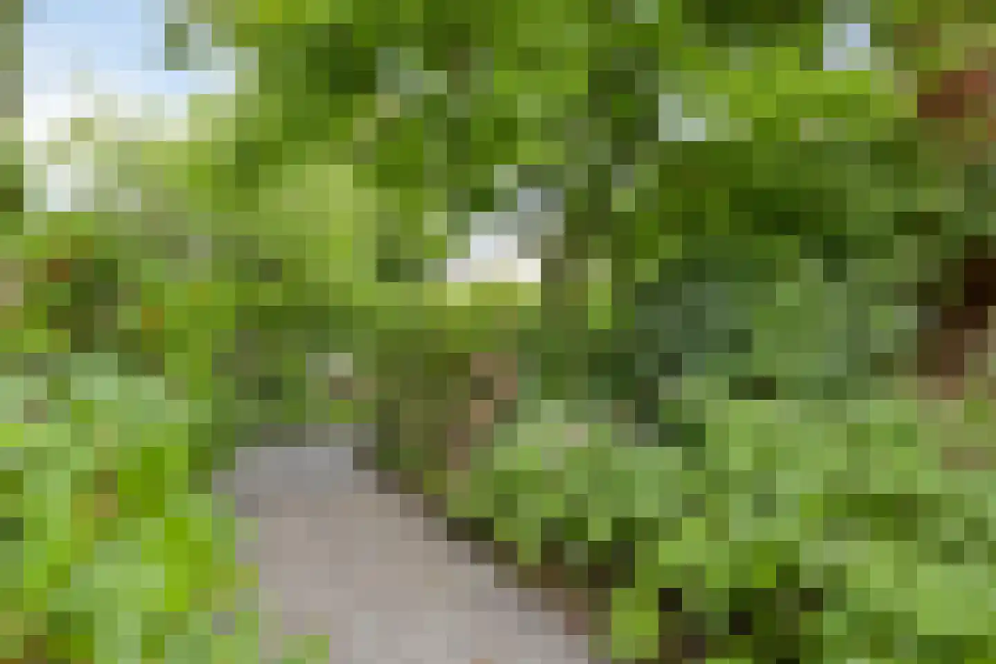 Berkenlaan 1 Wassenaar thumbnail 57
