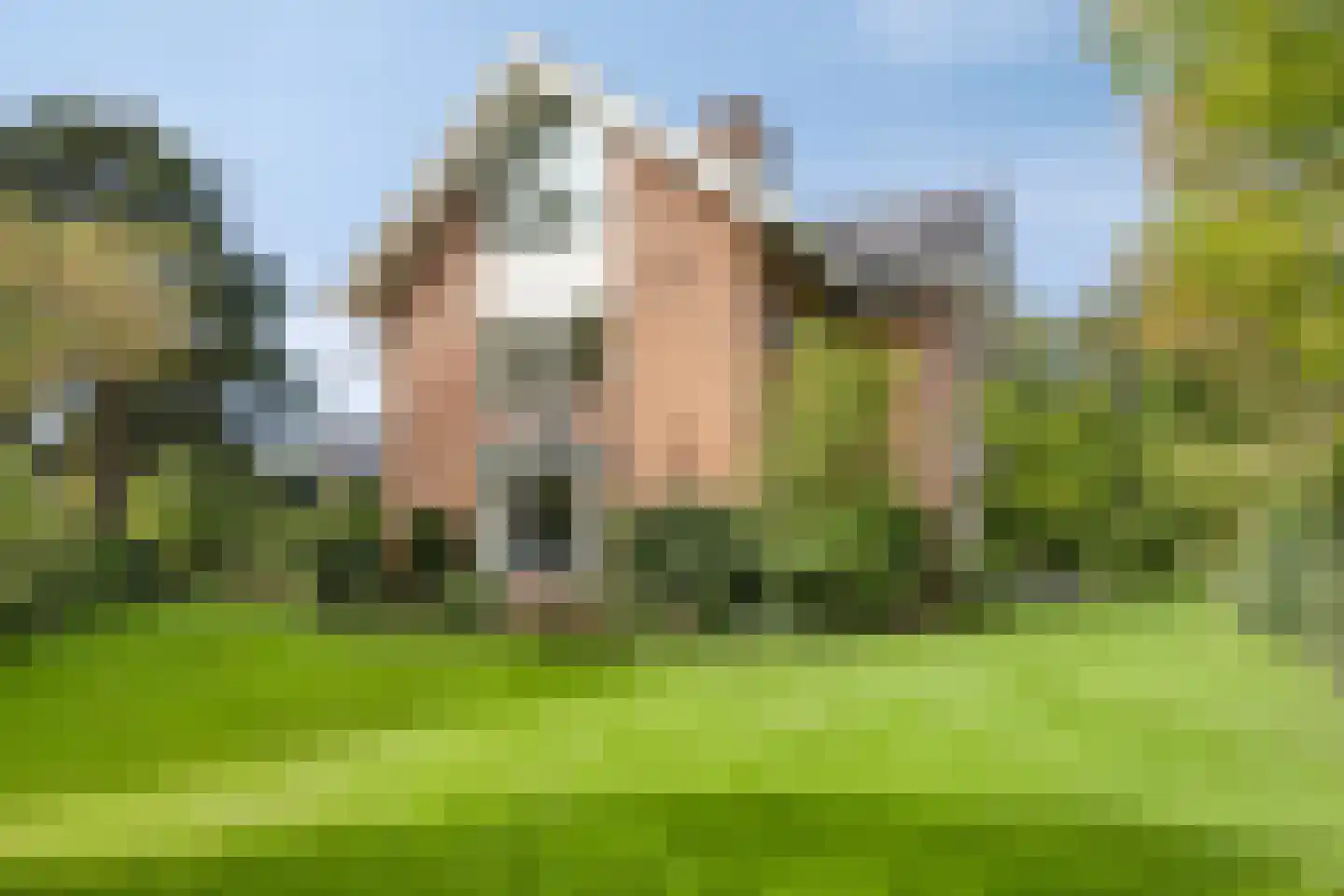 Berkenlaan 1 Wassenaar thumbnail 58