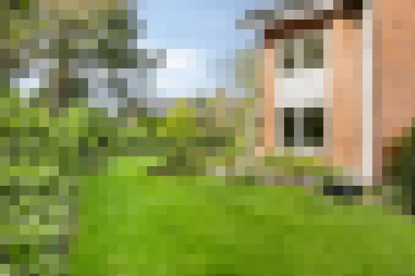 Berkenlaan 1 Wassenaar thumbnail 59