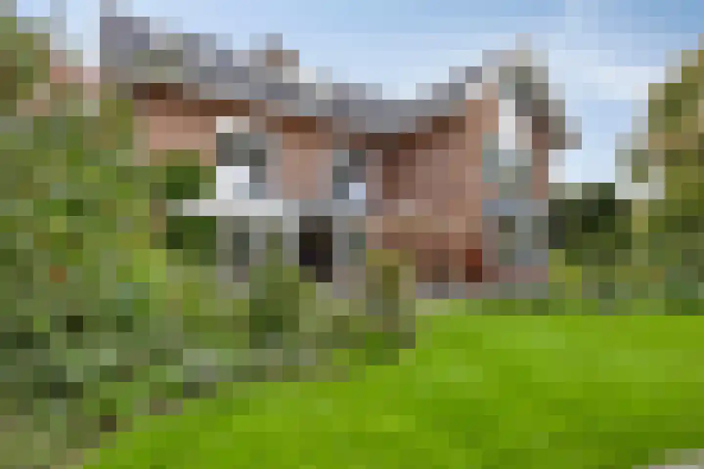 Berkenlaan 1 Wassenaar thumbnail 61
