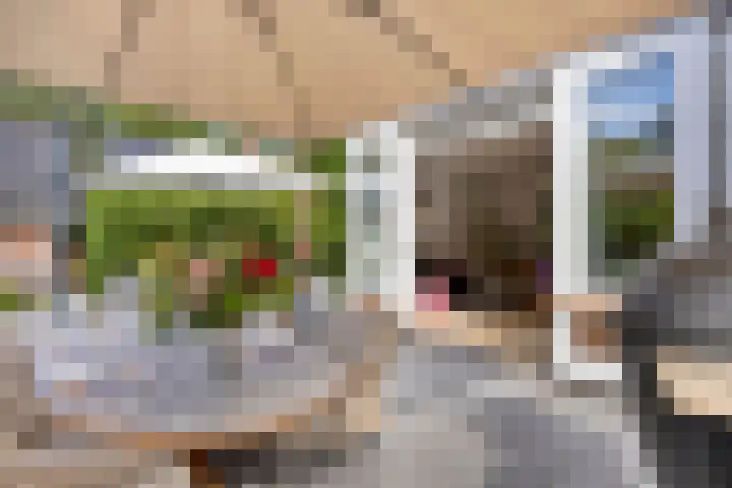 Berkenlaan 1 Wassenaar thumbnail 63