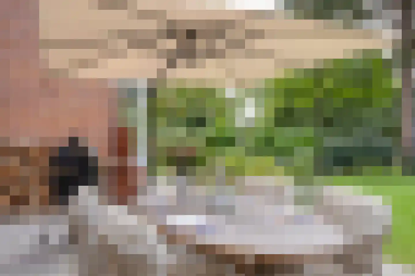 Berkenlaan 1 Wassenaar thumbnail 65
