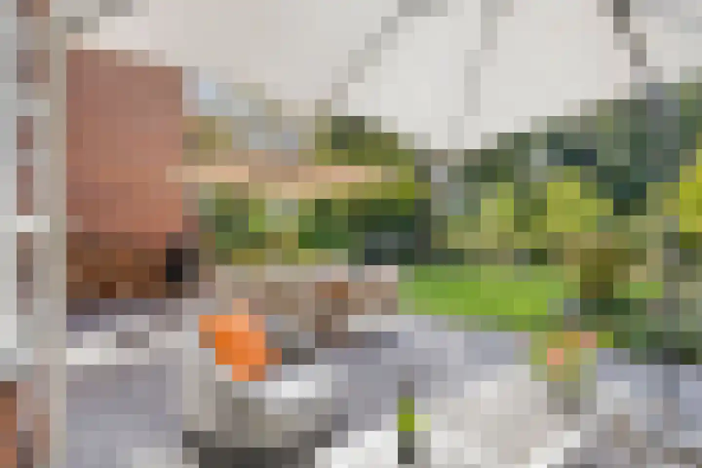Berkenlaan 1 Wassenaar thumbnail 66