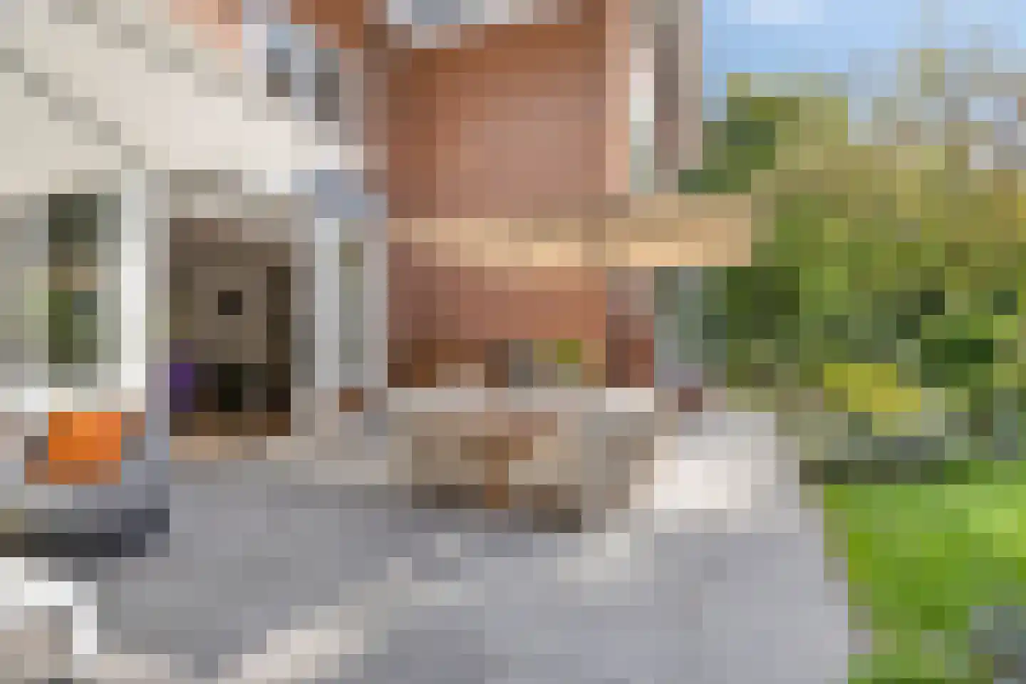 Berkenlaan 1 Wassenaar thumbnail 67