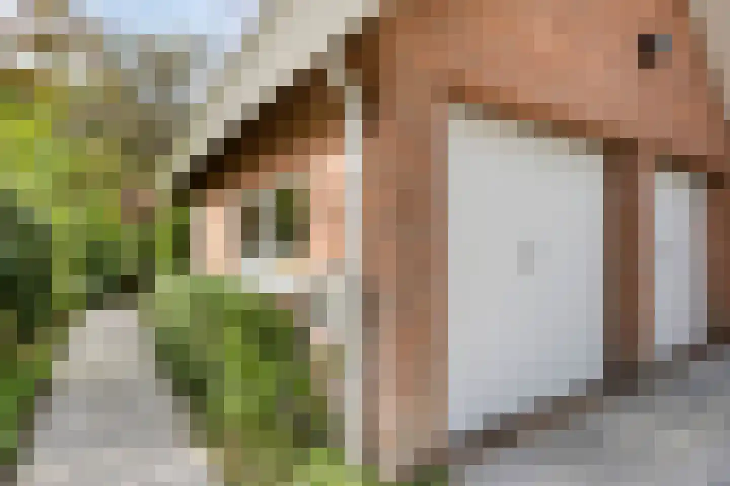 Berkenlaan 1 Wassenaar thumbnail 70