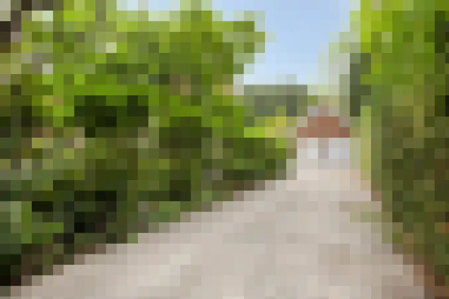 Berkenlaan 1 Wassenaar thumbnail 73