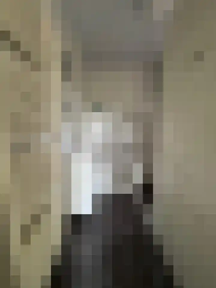 Berkenlaan 1 Westerlee thumbnail 17