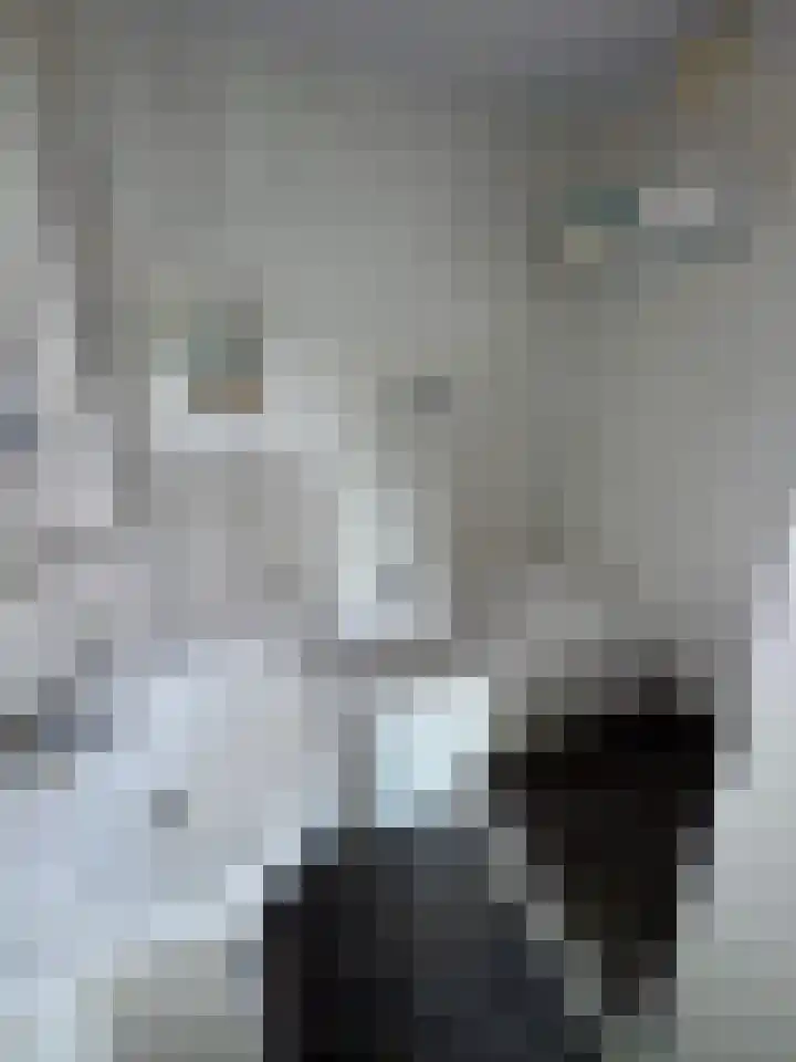 Berkenlaan 1 Westerlee thumbnail 18