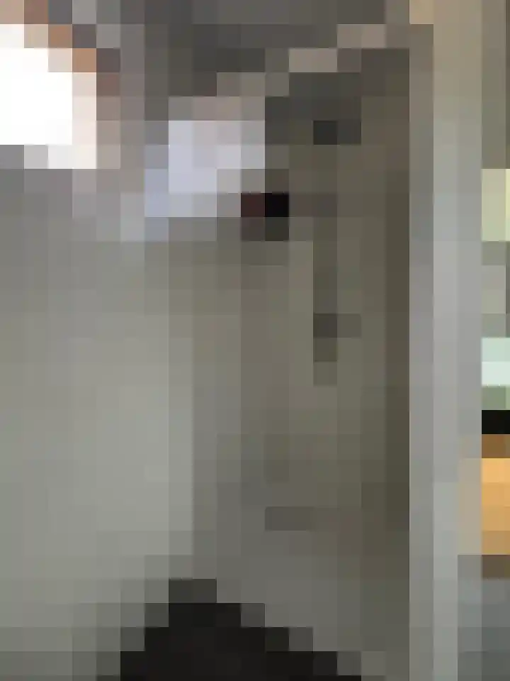 Berkenlaan 1 Westerlee thumbnail 19