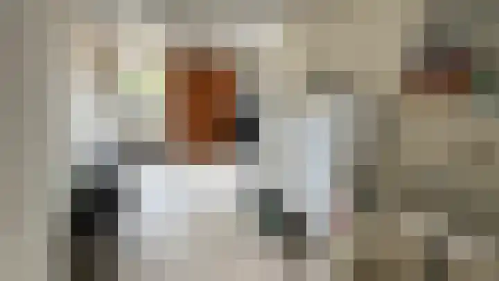 Berkenlaan 1 Westerlee thumbnail 20