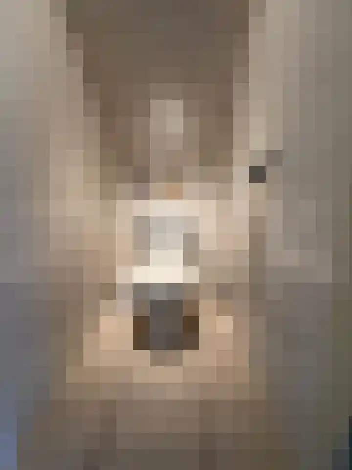 Berkenlaan 1 Westerlee thumbnail 27