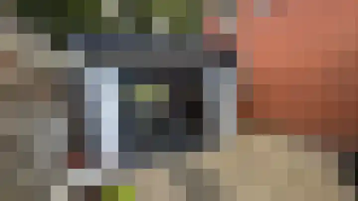 Berkenlaan 1 Westerlee thumbnail 37