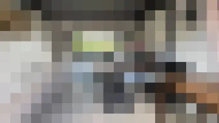 Berkenlaan 1 Westerlee thumbnail 38
