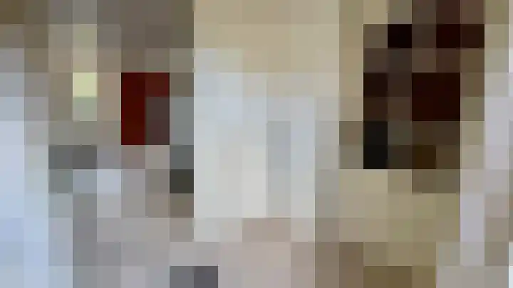 Berkenlaan 1 Westerlee thumbnail 5