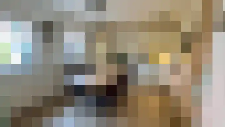 Berkenlaan 1 Westerlee thumbnail 6
