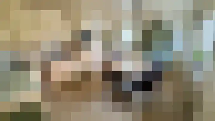 Berkenlaan 1 Westerlee thumbnail 8