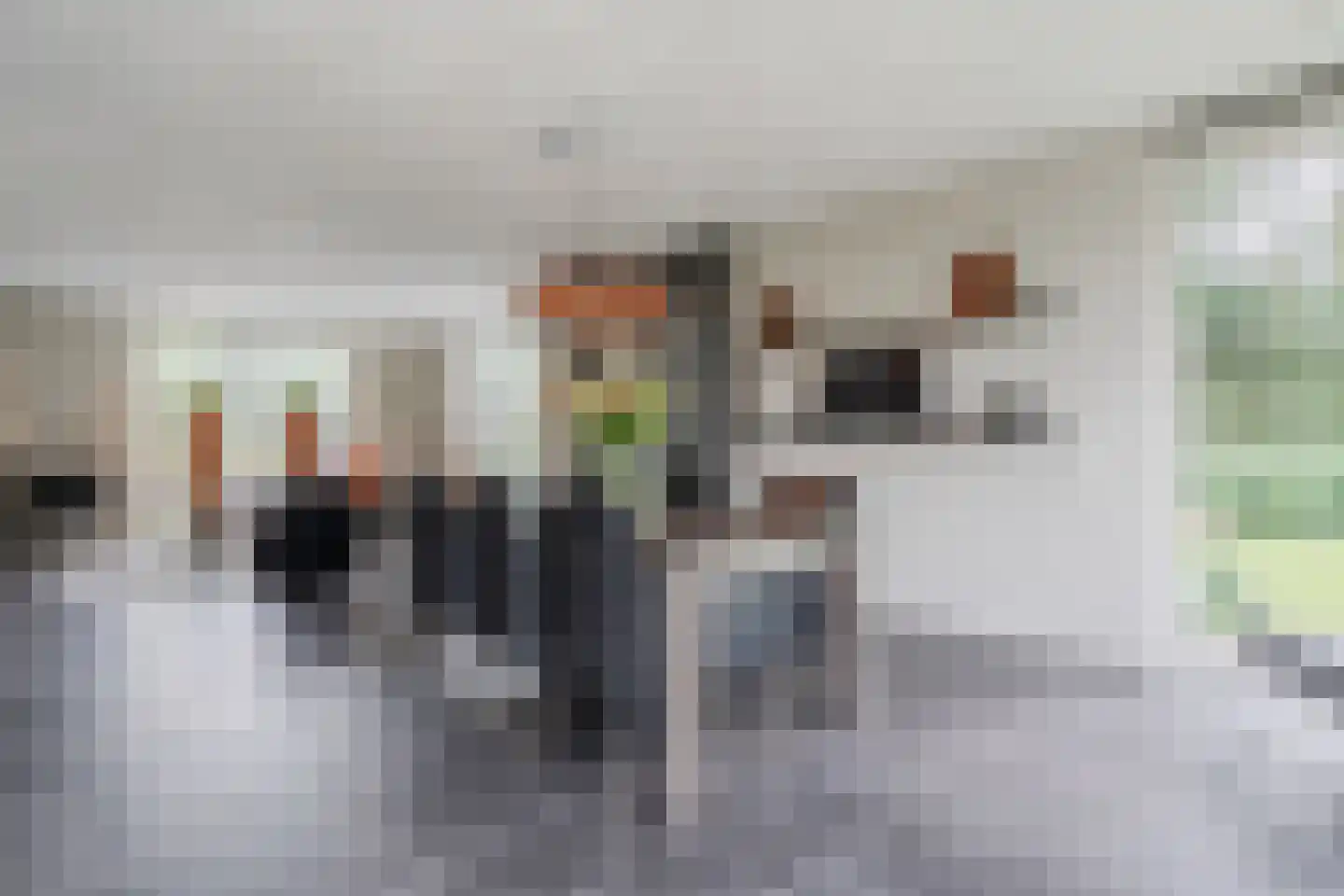 Berkenlaan 10 Hoogeveen thumbnail 15